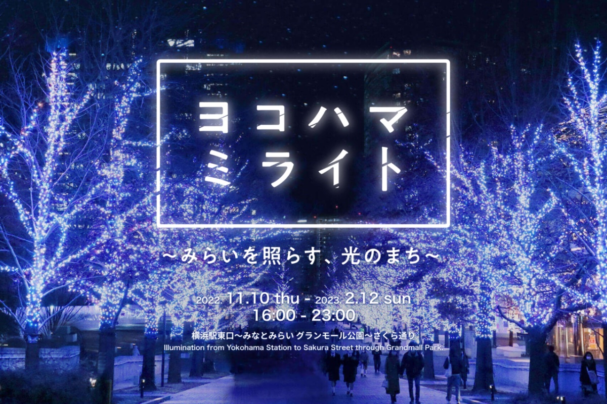 画像サンプル