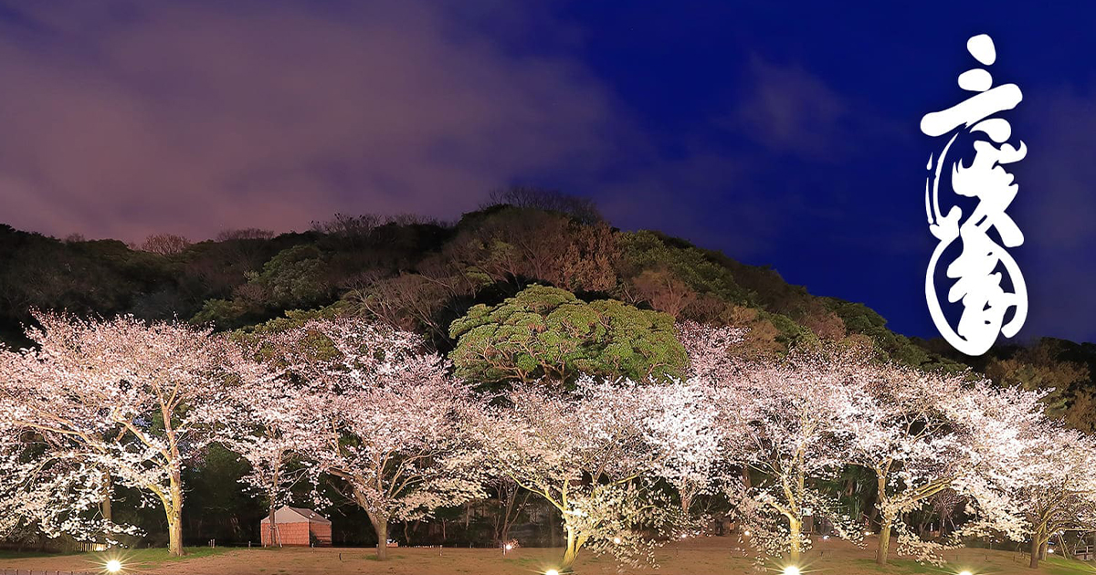 画像サンプル