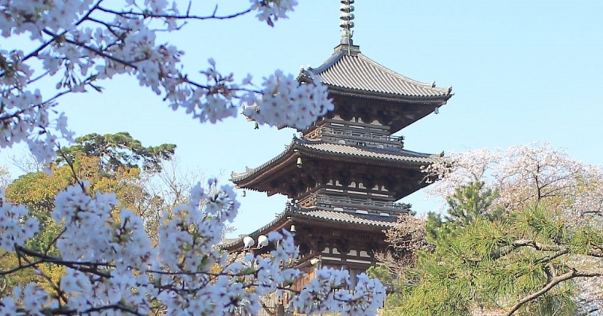 画像サンプル
