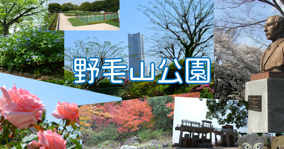 画像サンプル