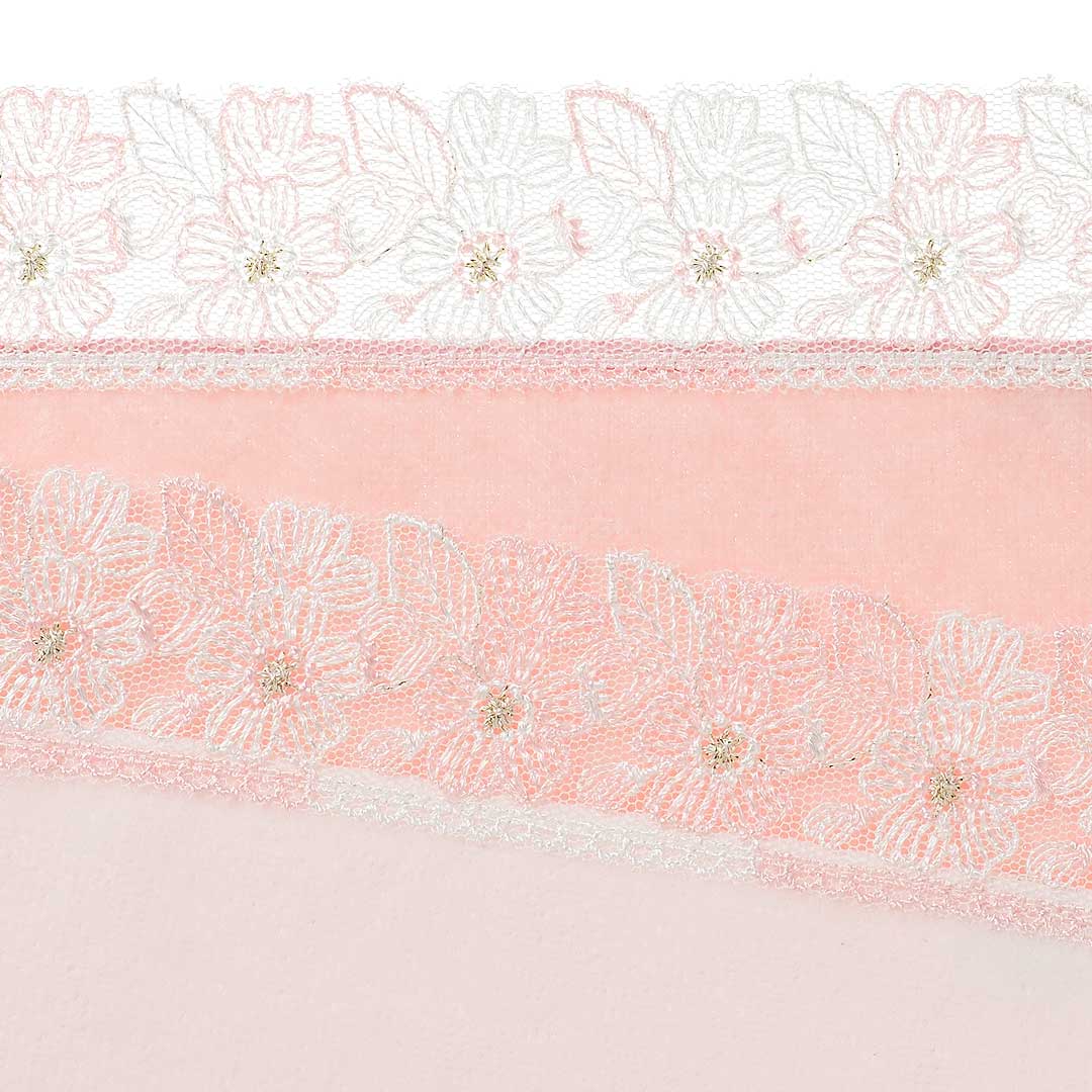 桜便り